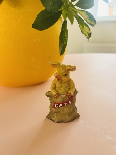 The leonardo collection - collection, pig