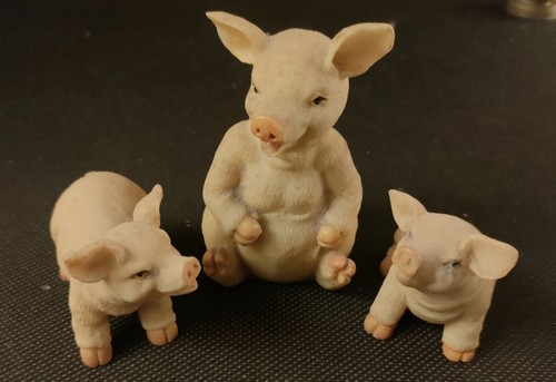 Pigs family leonardo - pigs,