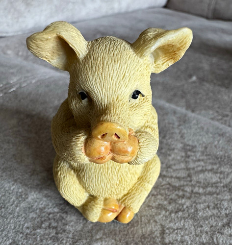 Leonardo collection pig - collection,