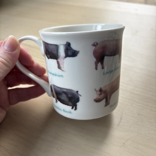 Pigs mug from the - ,