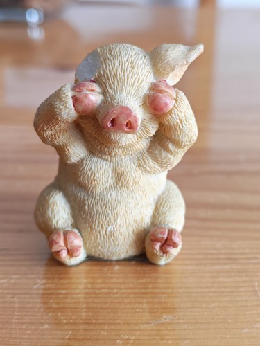 Not see evil pig - see,