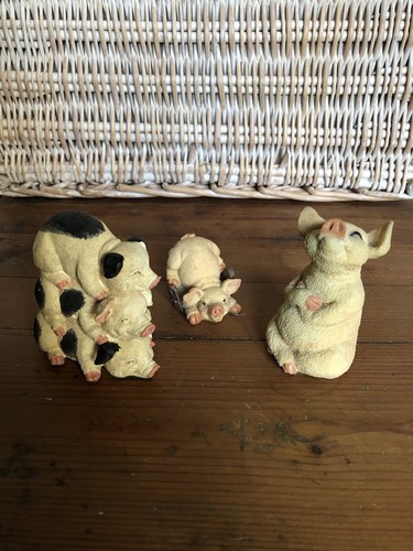 Leonardo collection pig - collection,
