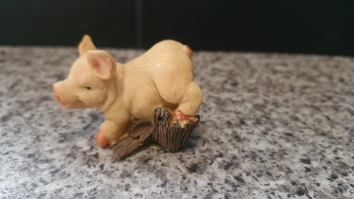 The leonardo collection - leonardo, pig