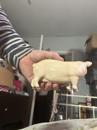 Leonardo countrylife pig - leonardo,